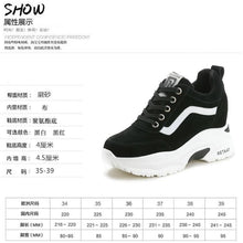 Load image into Gallery viewer, shoes 002